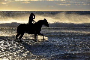mare, cavallo, onde, controluce, acqua, cavaliere, tramonto
