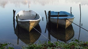 barche, riflesso, acqua, pali, lago, riflessi, due, corde, ormeggio, fiume, erba, fune