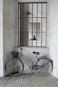 bicicletta, finestra, cestino, finestre, grata, ruote, inferriata, sbarre, muro