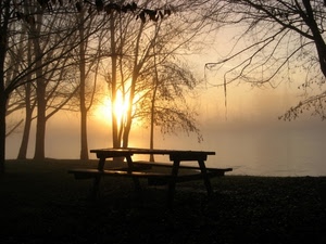 alberi, tavolo, panchina, controluce, tramonto, lago, rami, acqua, panca, nebbia, sole, foschia