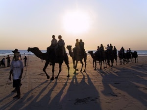 cammelli, mare, carovana, ombre, sabbia, spiaggia, deserto, persone, ombra, controluce, tramonto, sole