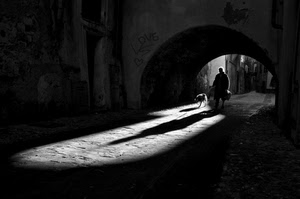 cane, arco, ombre, bianconero, uomo, ombra, passante, via, persona