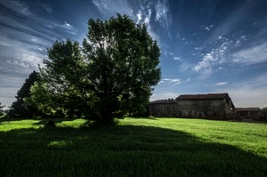 albero, prato, nuvole, verde, ombra, case, erba, paesaggio, cielo, controluce