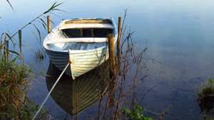 acqua, barca, riflesso, pali, corda, ormeggio, bianco, fiume, canne, piante, erba, verde, paletti, lago, legno, riflessi, fune