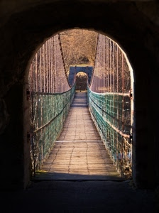 ponte, arco, legno, passerella, sospeso, alberi, reti, corde