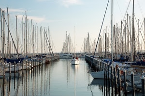 barche, porto, alberi, riflessi, mare, acqua, pali, cielo, riflesso