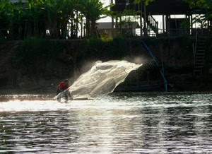 rete, acqua, pescatore, fiume, pescare, controluce, mare, scala