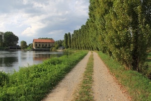 alberi, strada, casa, fiume, acqua, erba, cielo, viale
