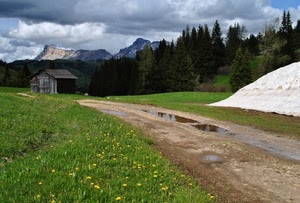 strada, alberi, nuvole, prato, verde, erba, fiori, pozzanghere, baita, montagna, montagne, cielo, sentiero, abeti, bosco