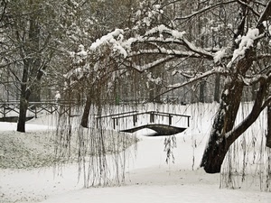 neve, ponte, alberi, inverno, bianco, parco, staccionata