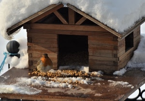 neve, casetta, pettirosso, uccello, inverno, cibo, legno, mangime, capanna, bianco