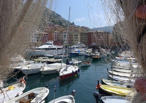 barche, porto, mare, reti, rete, cielo, case, acqua, palazzi