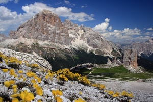 fiori, montagna, nuvole, giallo, rocce, cielo, pietre, paesaggio, dolomiti