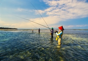 canne, mare, pescatori, acqua, cielo, nuvole, pescare, pesca, cappelli