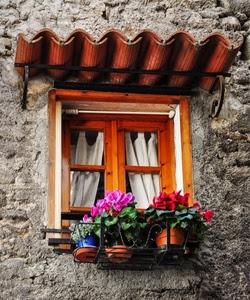 finestra, fiori, vasi, tende, tegole, tettoia, tenda, ciclamini, piante