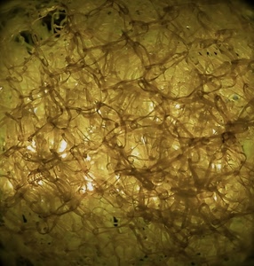 giallo, astratto, luce, fili, rete, controluce, astrattismo, fantasia, intreccio, pattern, luci, filamenti