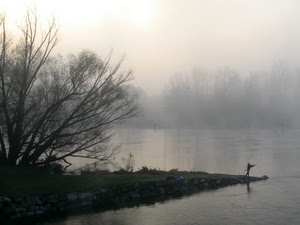 pescatore, fiume, nebbia, acqua, alberi, albero, foschia, lago, cielo, controluce, rami, riflessi