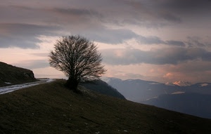 albero, strada, montagne, montagna, nuvole, tramonto, panorama, cielo, neve