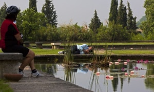 acqua, fotografo, alberi, verde, ninfee, panchina, parco, ciclista, fiori