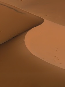 sabbia, ombra, curve, deserto, duna, luce, curva, marrone, dune, beige