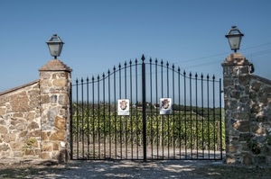 cancello, lampioni, pilastri, muro, colonne, ferro, verde, cielo, chiuso