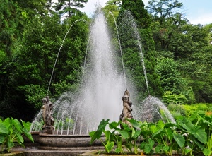 fontana, verde, alberi, acqua, zampilli, statue, spruzzi, getti, foglie