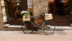 bicicletta, fiori, negozio, cassette, vetrine, casse, vino, vini, vetrina, bici