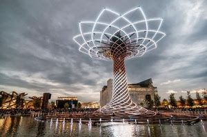 acqua, expo, albero, luci, nuvole, milano, cielo, riflessi, fontana, vita, alberi, padiglioni