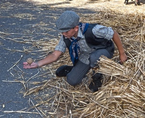 paglia, trottola, bambino, cappello, gioco, ragazzo, berretto, giocare, mano, fieno, strada, giocattolo, gilet