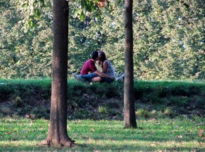 bacio, alberi, verde, due, coppia, tronchi, parco, amore, prato, innamorati