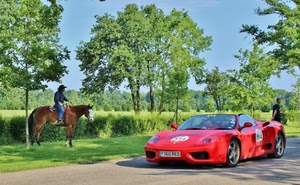 cavallo, ferrari, alberi, verde, rosso, rossa, automobile, auto, cavaliere