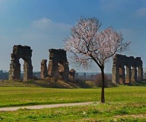 albero, ruderi, prato, fiori, pesco, erba, rovine, primavera, archi, acquedotto, cielo