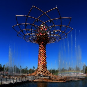 albero, expo, acqua, cielo, fontana, milano, zampilli, vita