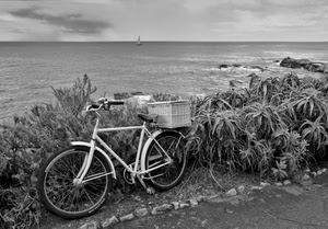 bicicletta, mare, bianconero, cestino, barca, acqua, cielo, piante, cesto