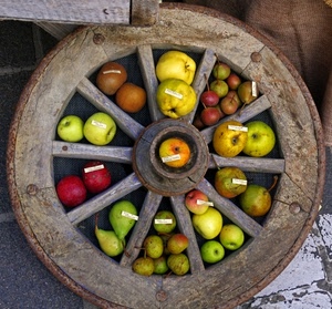 frutta, ruota, mele, pere, raggi, legno