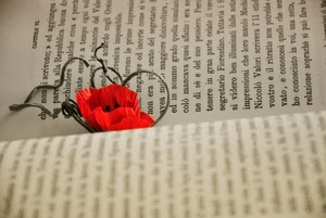 libro, rosso, fiore, parole, papavero, capitolo, leggere, lettere, pagine