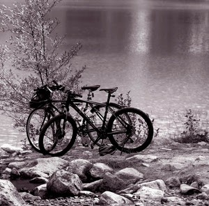 biciclette, acqua, fiume, ruote, sassi, due, albero, bianconero, pietre, riflesso, sellini, lago, cespuglio, massi