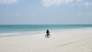 bicicletta, mare, spiaggia, sabbia, cielo, acqua, ciclista
