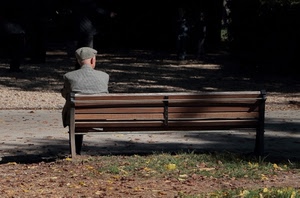 panchina, cappello, uomo, seduto, parco, ombra, anziano, strada, foglie, legno, persona