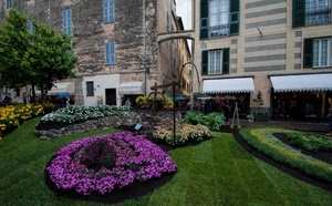 fiori, finestre, alberi, verde, aiuole, prato, negozi, arco, giardino, tende, aiuola, erba, viola, tendoni, palazzi, case