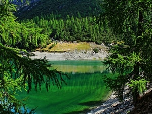 lago, verde, acqua, montagna, alberi, riflessi, pineta, bosco