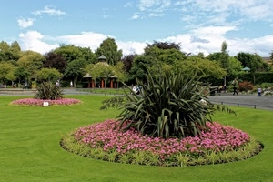 fiori, aiuole, piante, giardino, prato, verde, cielo, alberi, parco, erba, nuvole, azzurro, rosa, cerchi, aiuola, gazebo