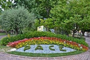 fiori, aiuola, alberi, pace, verde, piante, erba, giardino