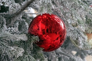 albero, natale, rosso, palla, riflesso, neve, abete, sfera, rami, aghi, riflessi, pino, bianco, rossa, addobbi, pallina