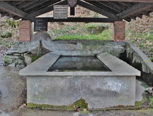 acqua, lavatoio, pietra, tettoia, riflesso, verde, vasca, legno, mattoni, fontana, travi