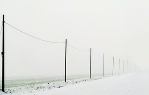 pali, neve, bianco, nebbia, fili, strada, cavo, inverno, elettricità, foschia