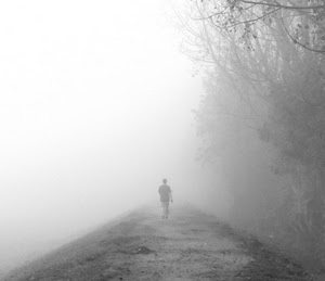 nebbia, alberi, bianconero, uomo, strada, sentiero, persona, passante, camminare, solo, silenzio
