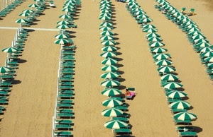 ombrelloni, sabbia, verde, spiaggia, bianco, lettini, file, sdraio, righe, mare, persone, estate
