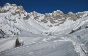 neve, alberi, montagna, cielo, montagne, inverno, bianco, vette, blu, roccia, sentiero, cime, panorama, azzurro