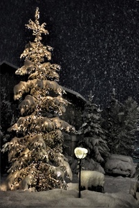 neve, lampione, natale, alberi, notte, albero, inverno, bianco, luci, auto, casa, nevicata, tetto, automobile
